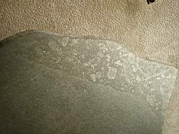 Abee  EH4 477grs museum paris.jpg